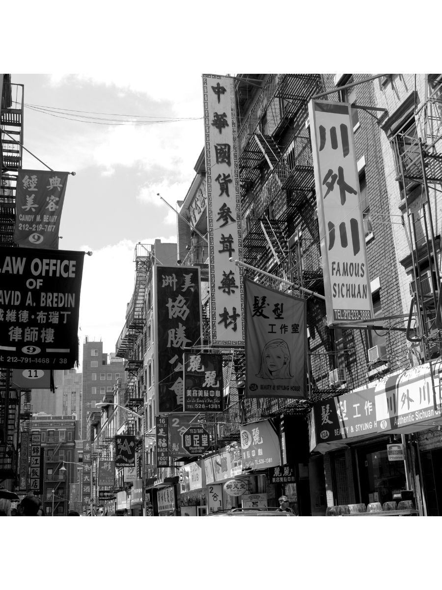 Jordan Craig, Manhattan Chinatown-1