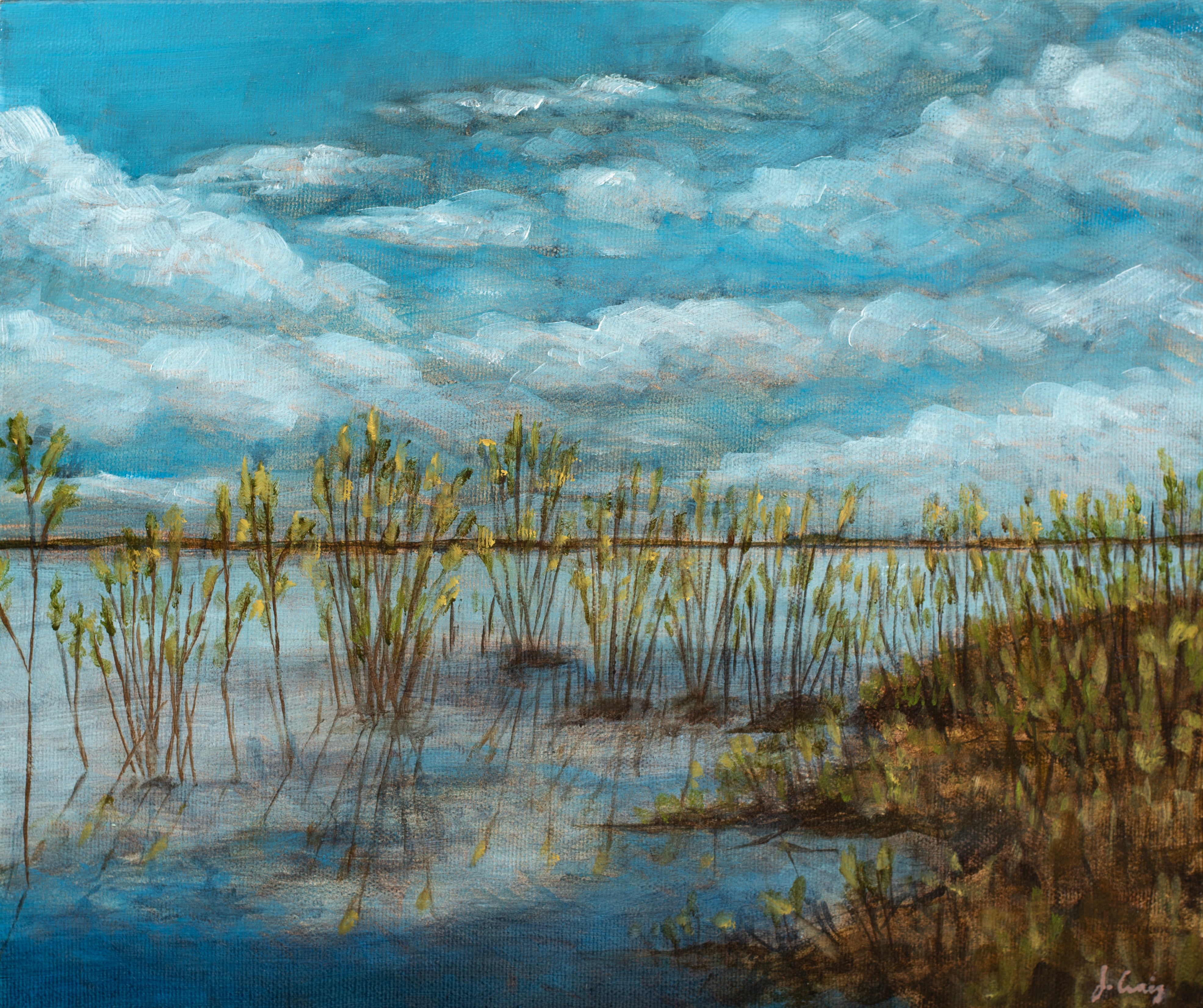 ACQUIRED | Jordan Craig, Migratory Bird Sanctuary-3