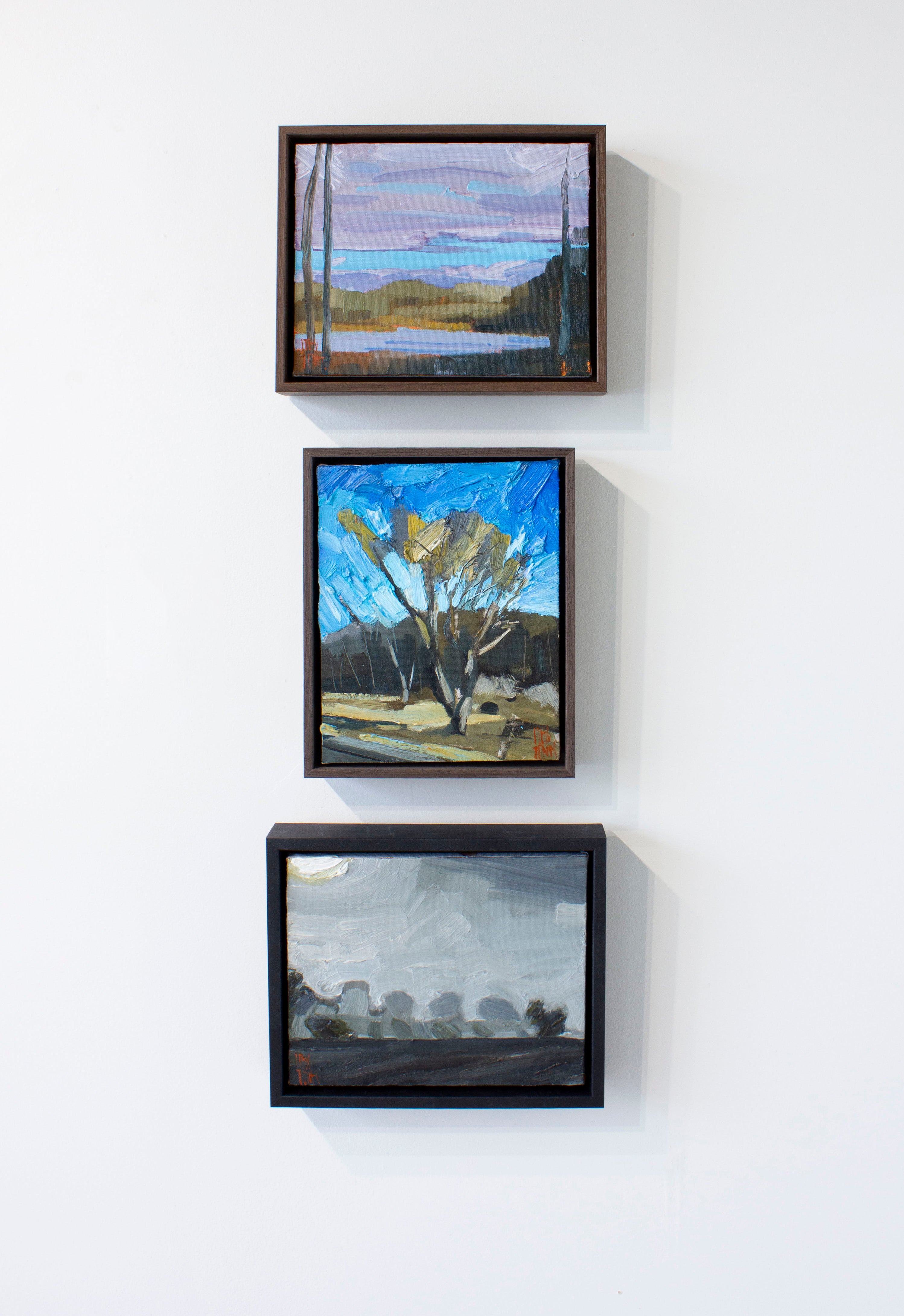 Stewart Jones, ROADSIDE TREE _PEC