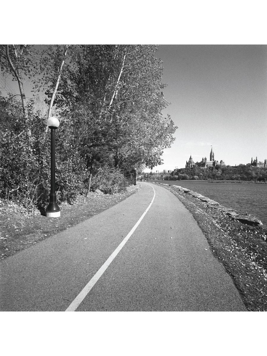 Jordan Craig, Path Towards Parliment-1