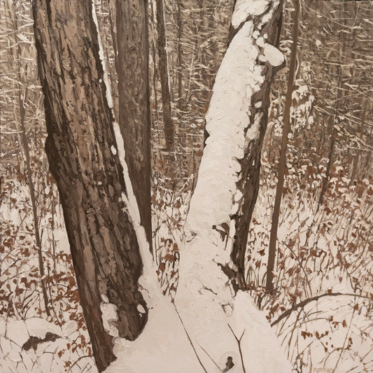 Peter Rotter, First Snow