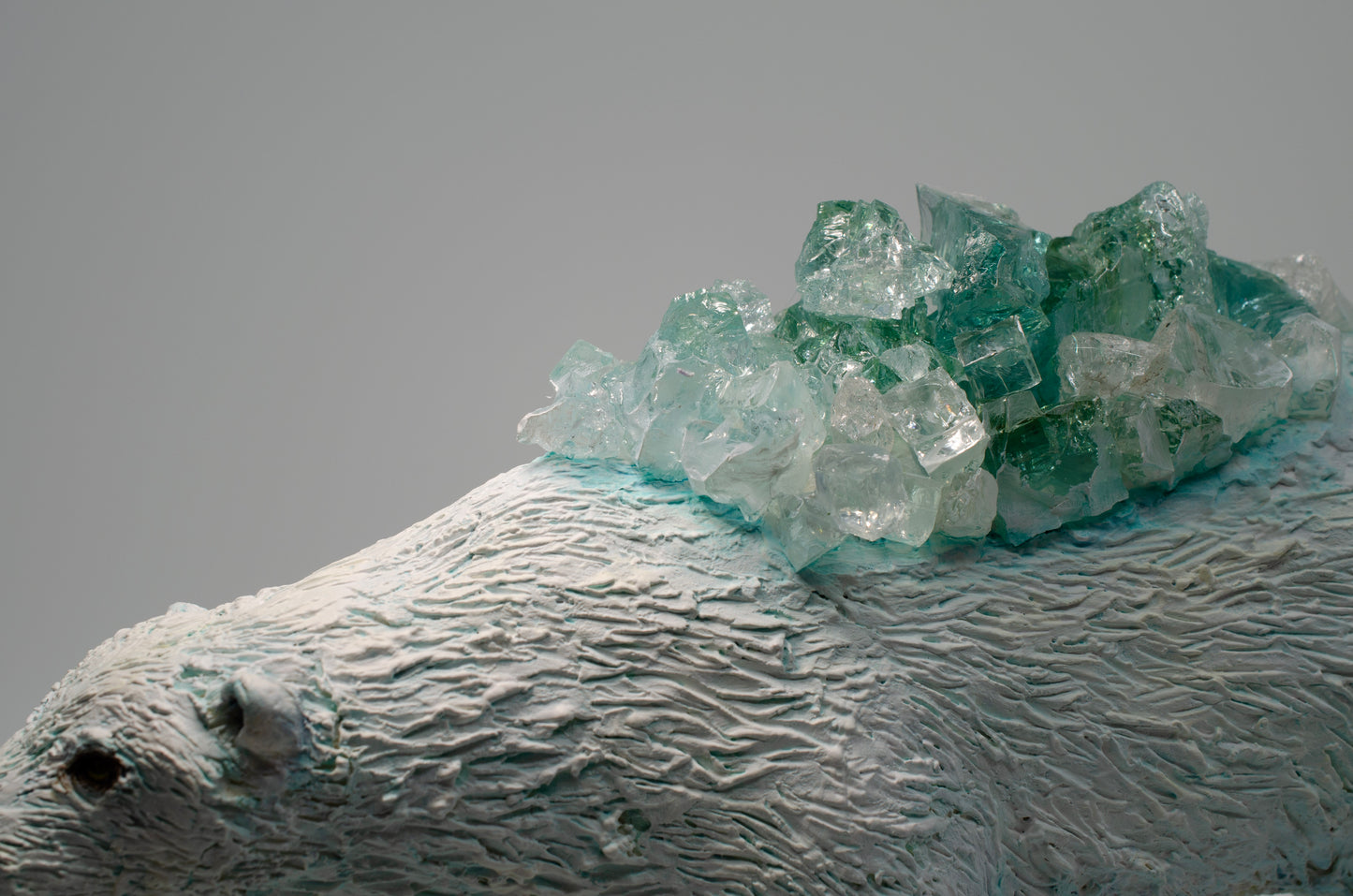 Patti Normand, Polar Bear