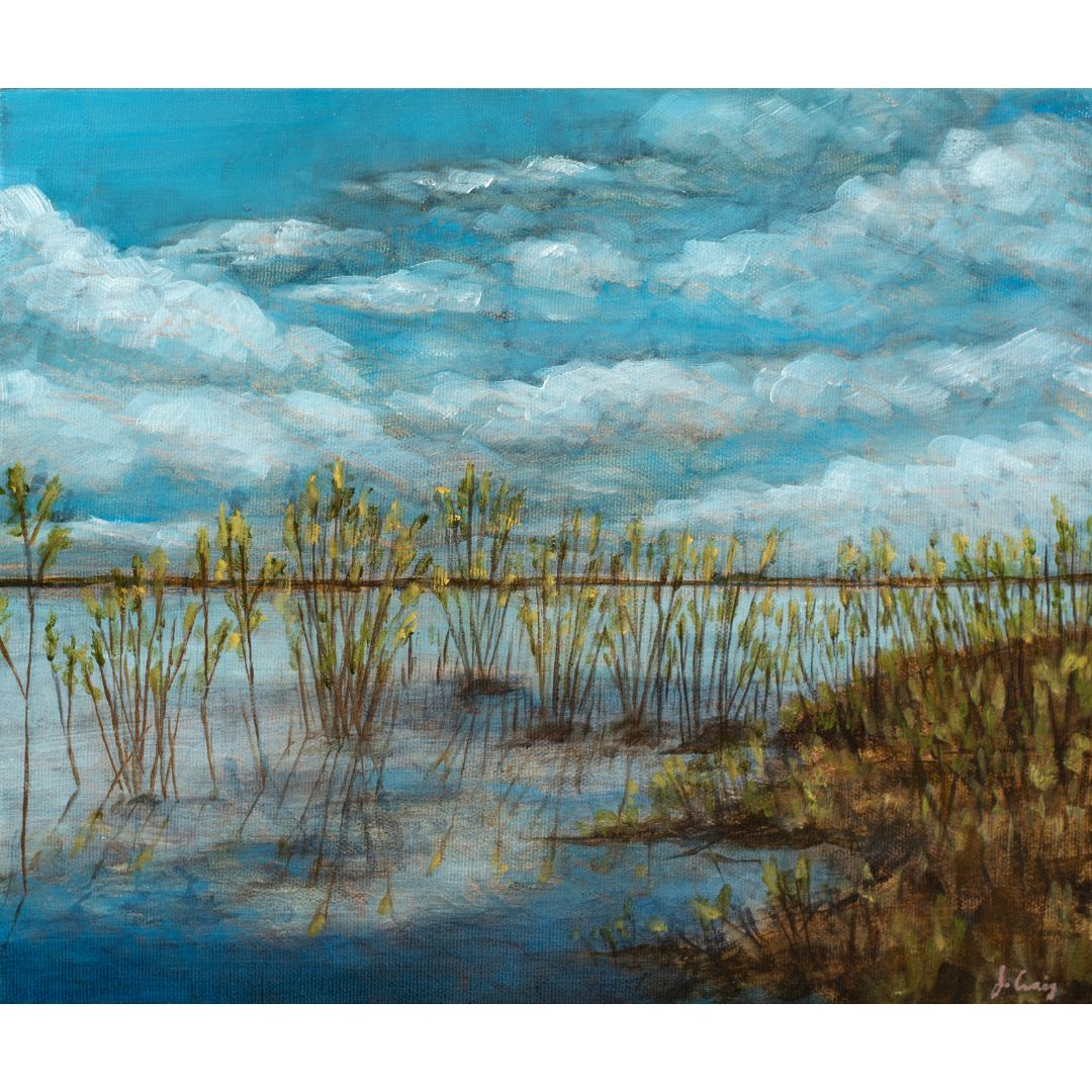 ACQUIRED | Jordan Craig, Migratory Bird Sanctuary