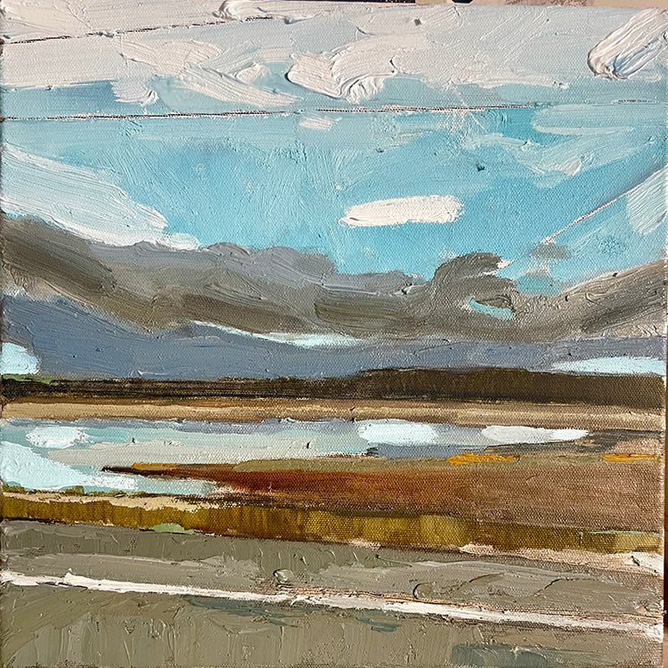 Stewart Jones, FLOODED FIELD (MORGAN ROAD)