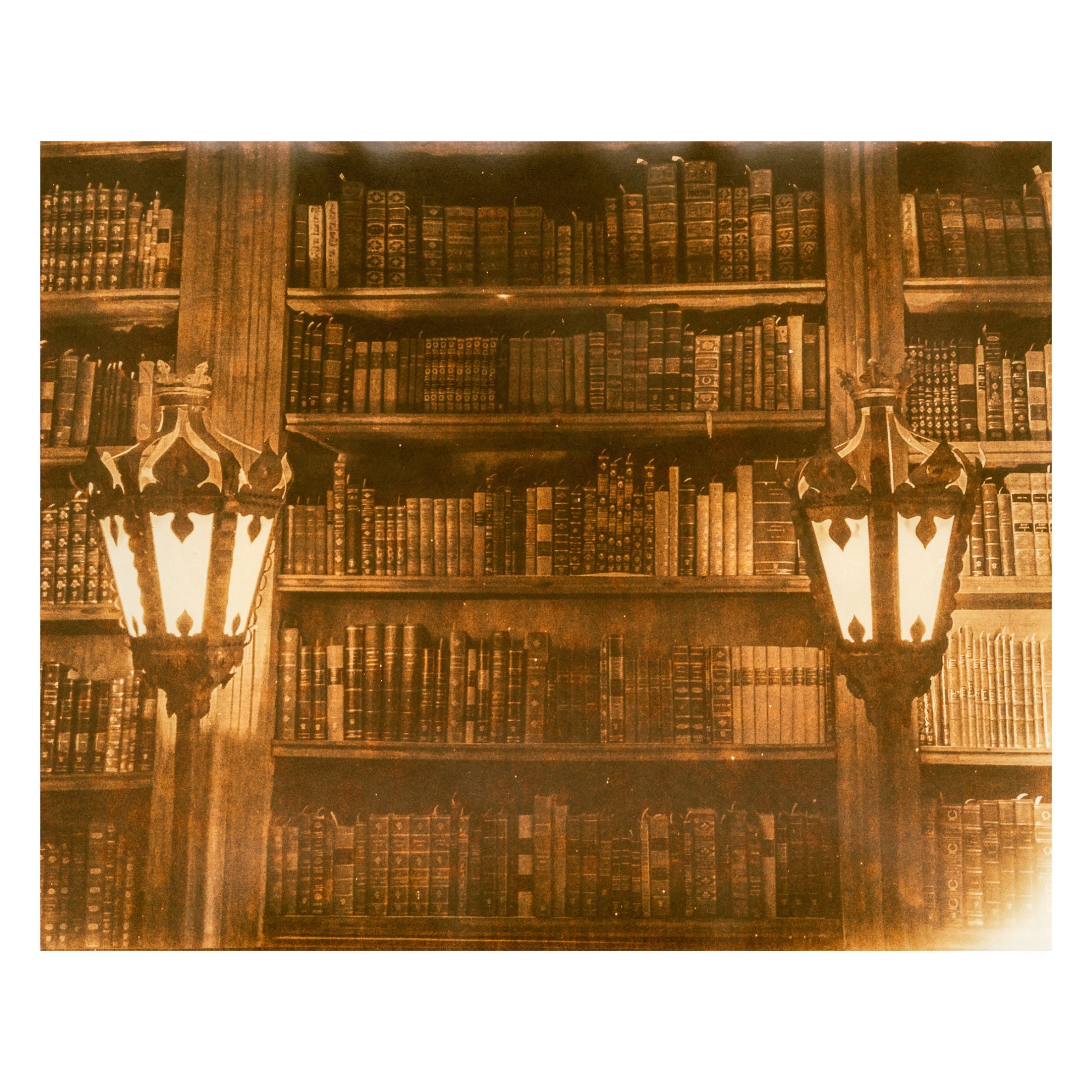 Joy Kardish, The Library