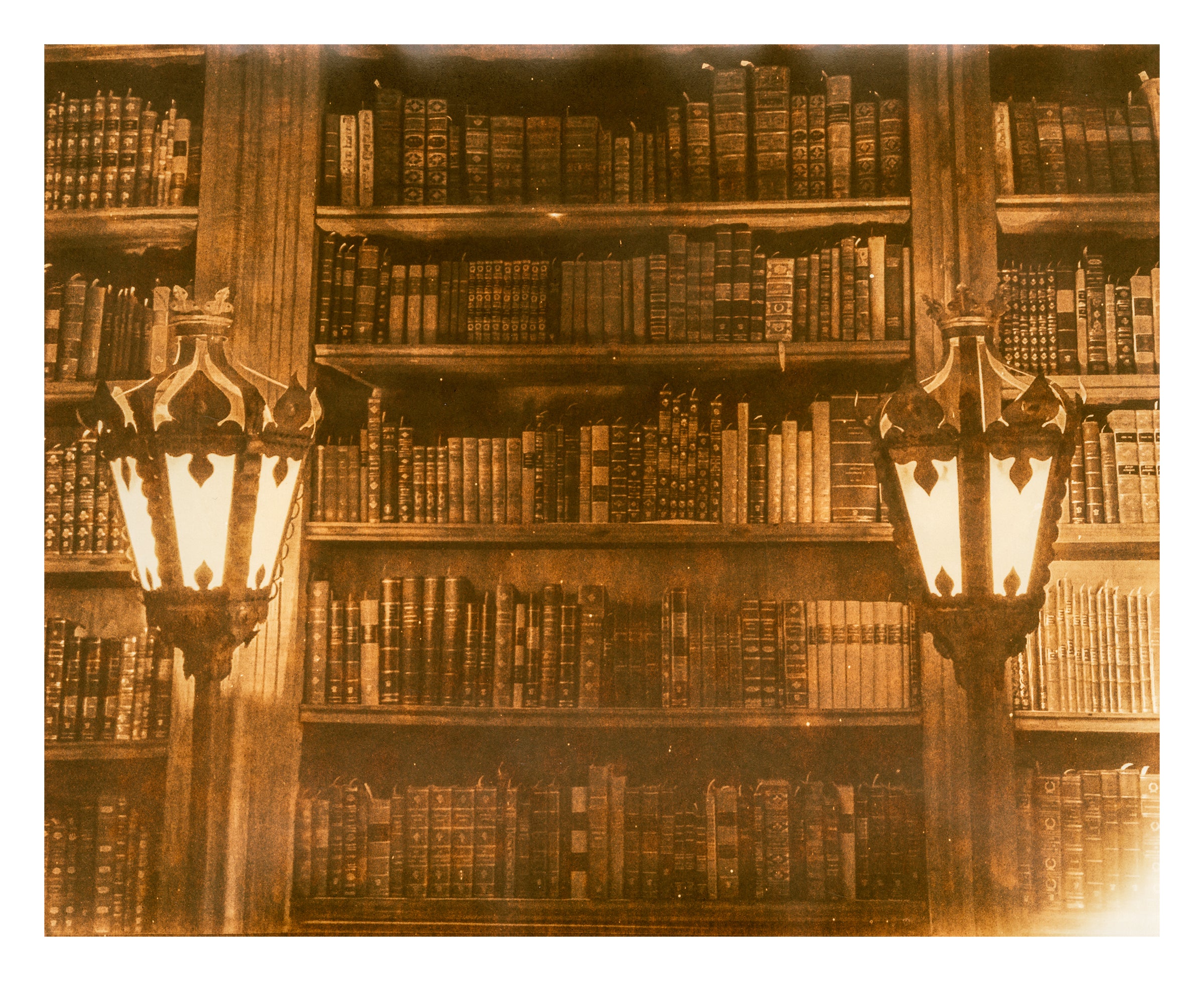 Joy Kardish, The Library-3