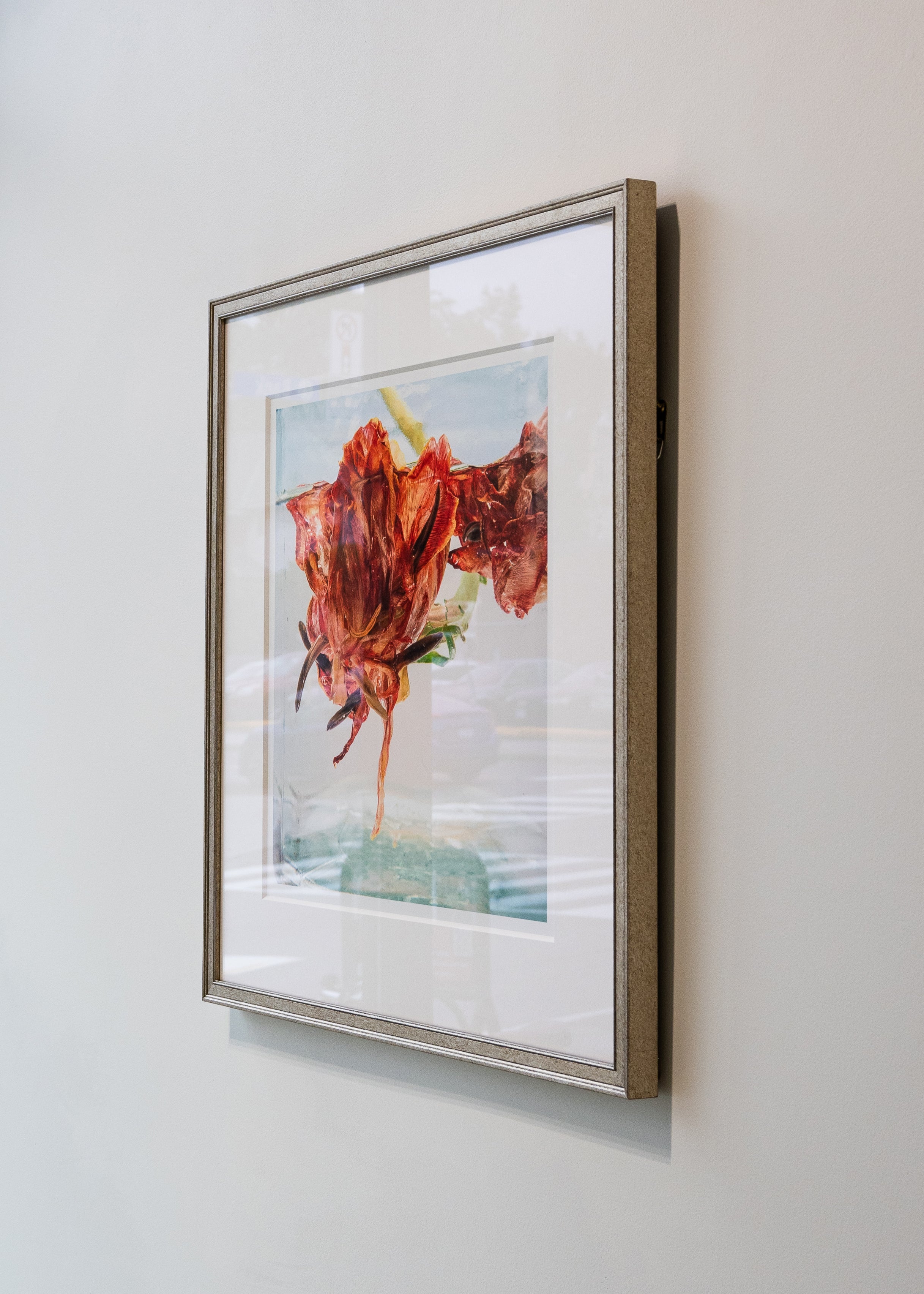Kelly McDonald, Tulip-3