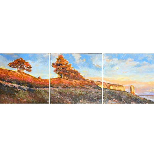Brandon McVittie, AMBER LIGHT TO THE SEA (Triptych)