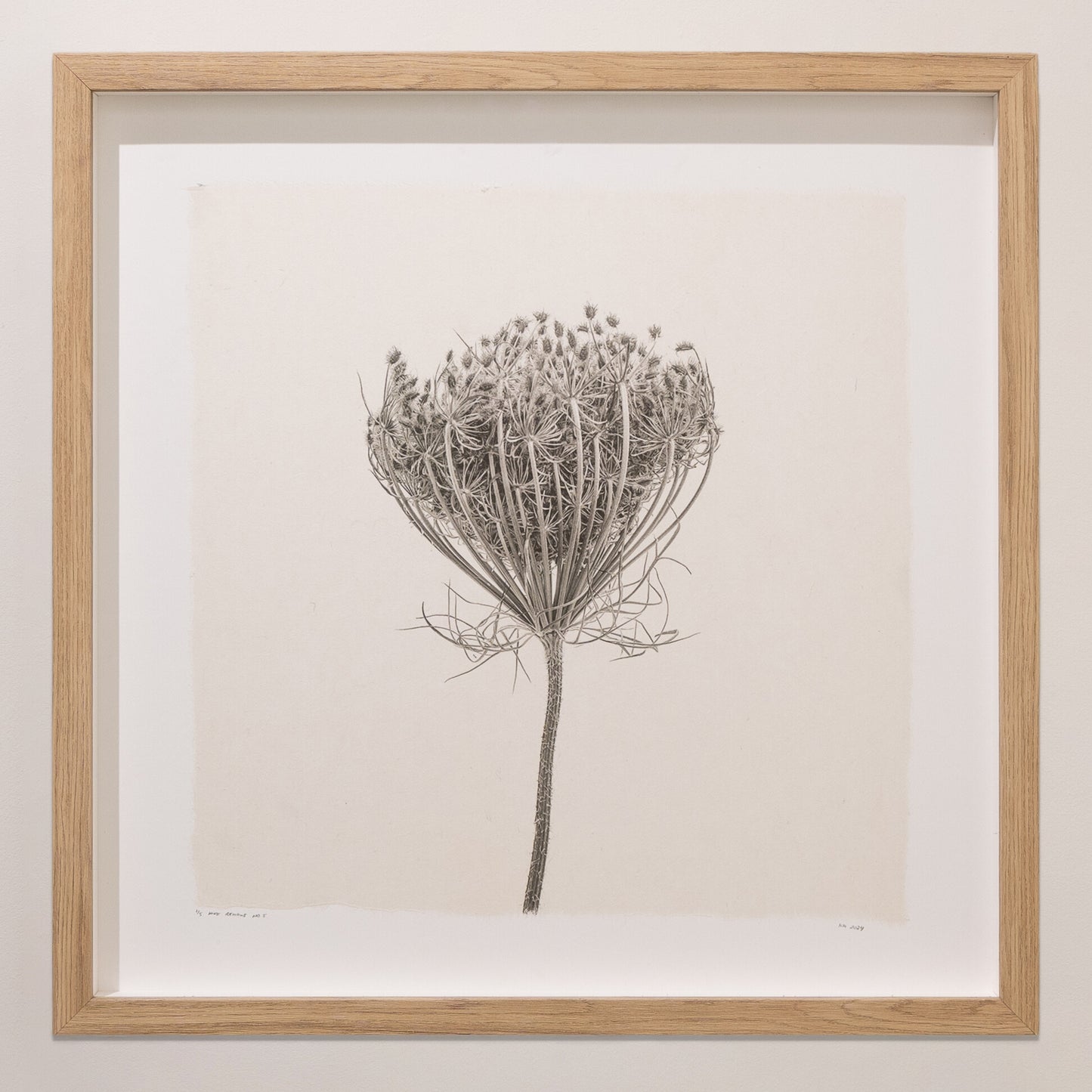 Kelly McDonald, What remains no.5