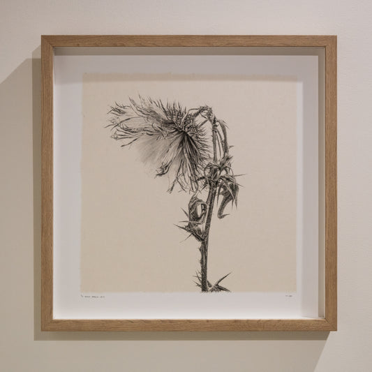 Kelly McDonald, What remains no.6