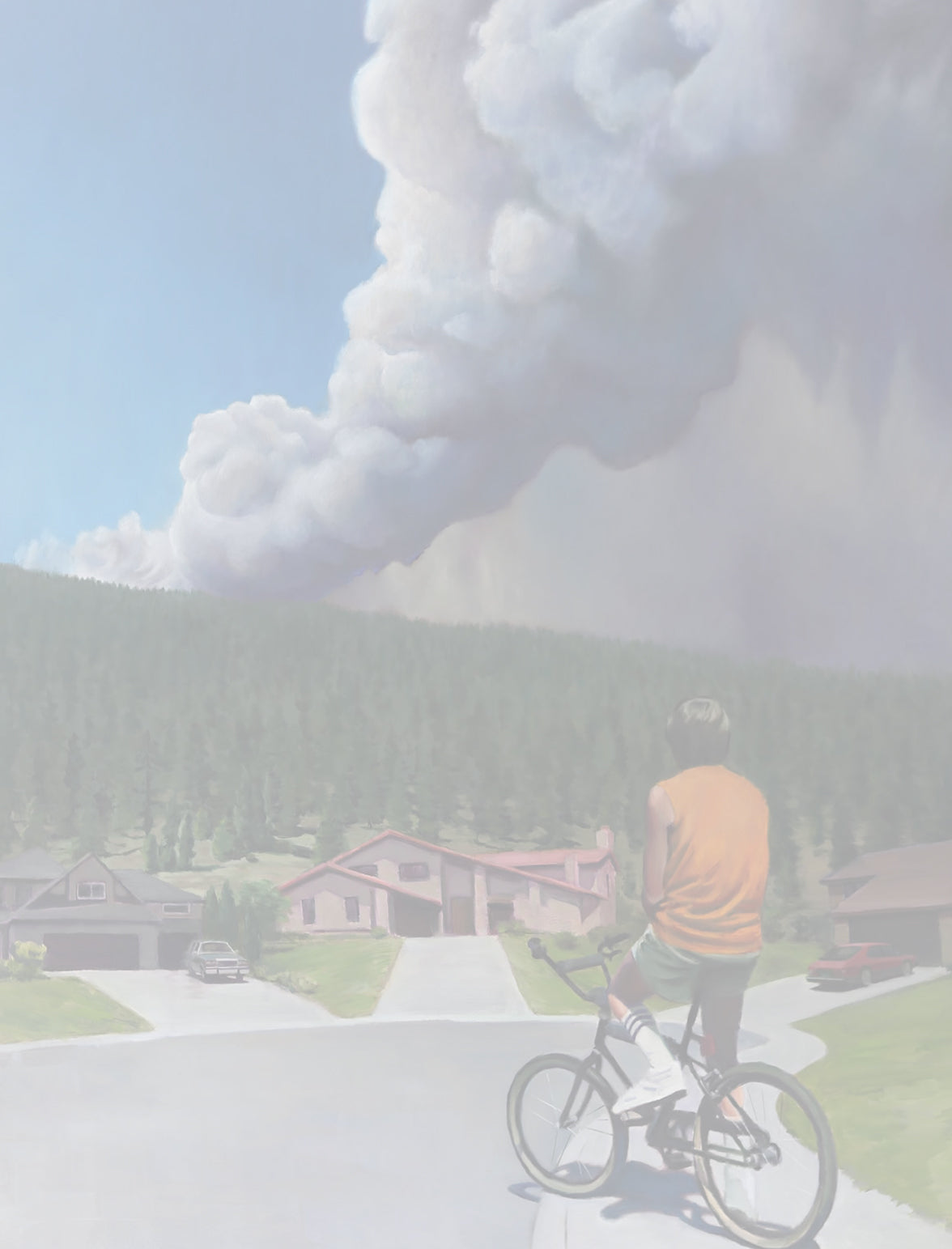 ACQUIRED | Andrew Beck, 1982