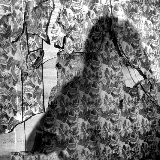 Yu-Sheng Chiu, Self Portrait on Broken Glass