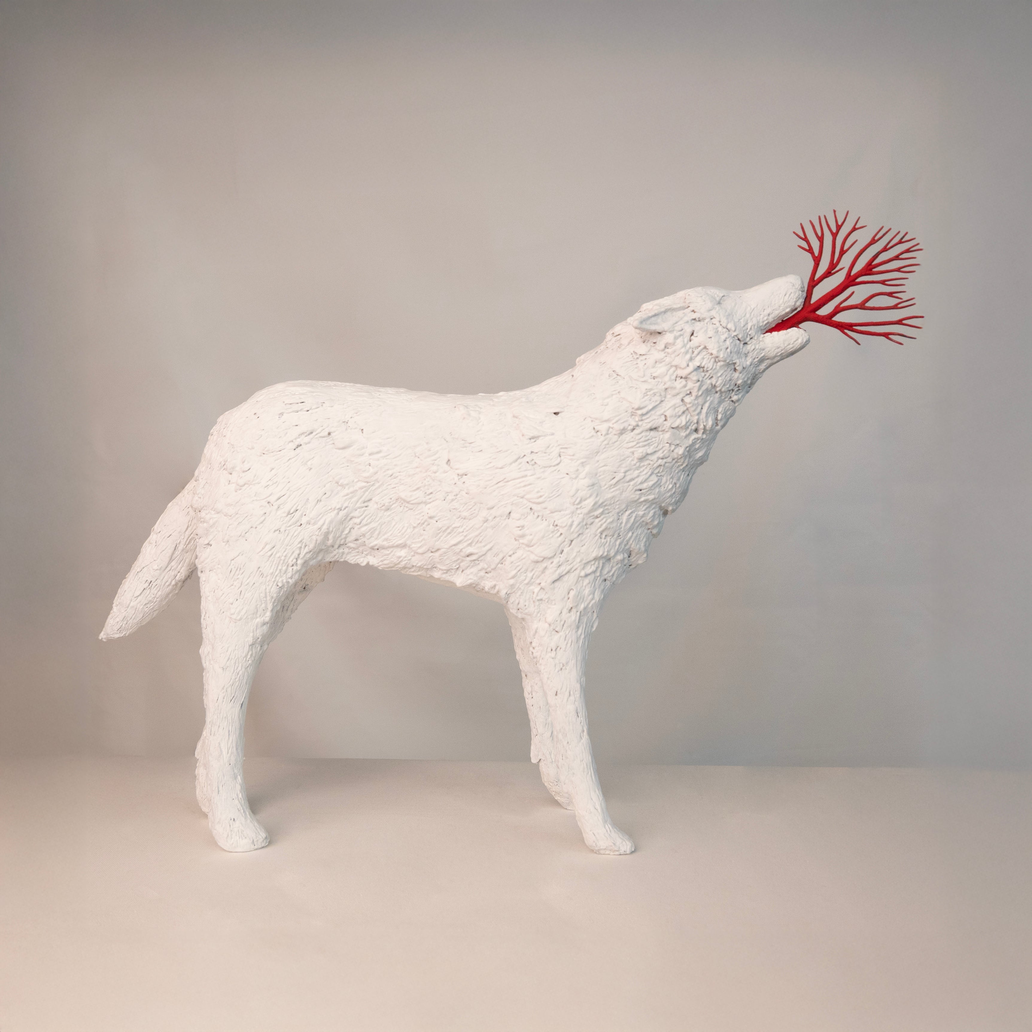 Patti Normand, White Wolf