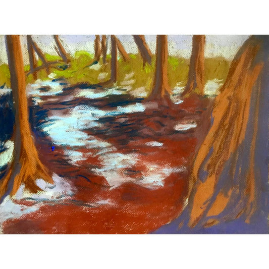 Alex Chowaniec, Rideau Lakes (Sunlit Woods III)