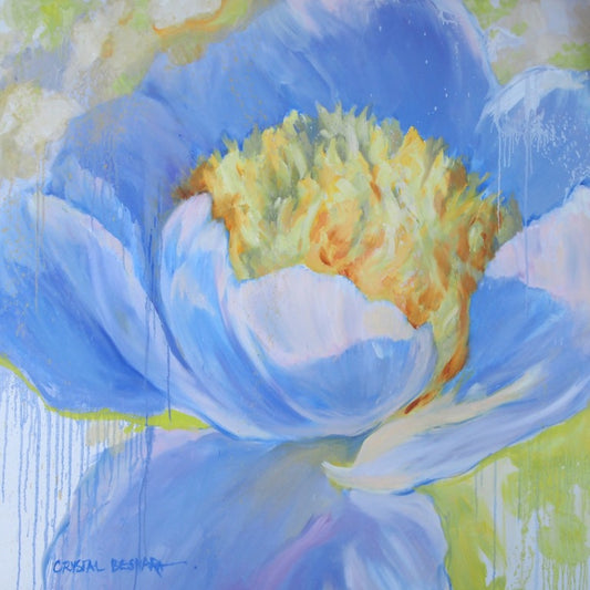 Crystal Beshara, Baby Blue