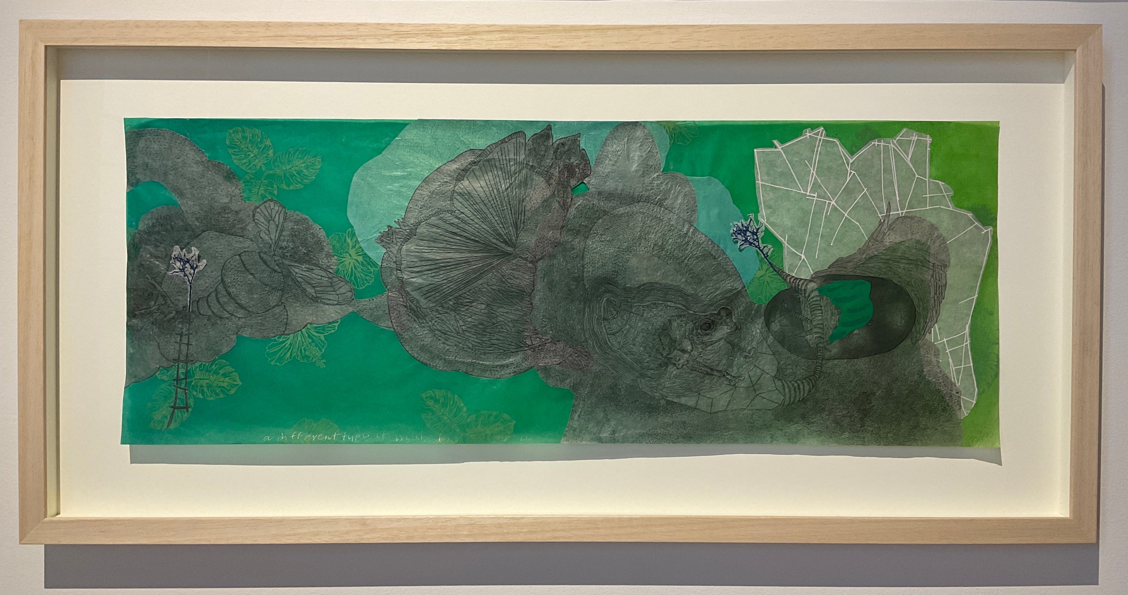 Elizabeth D'Agostino, A Different Type of Wild - Frog Songs II-4