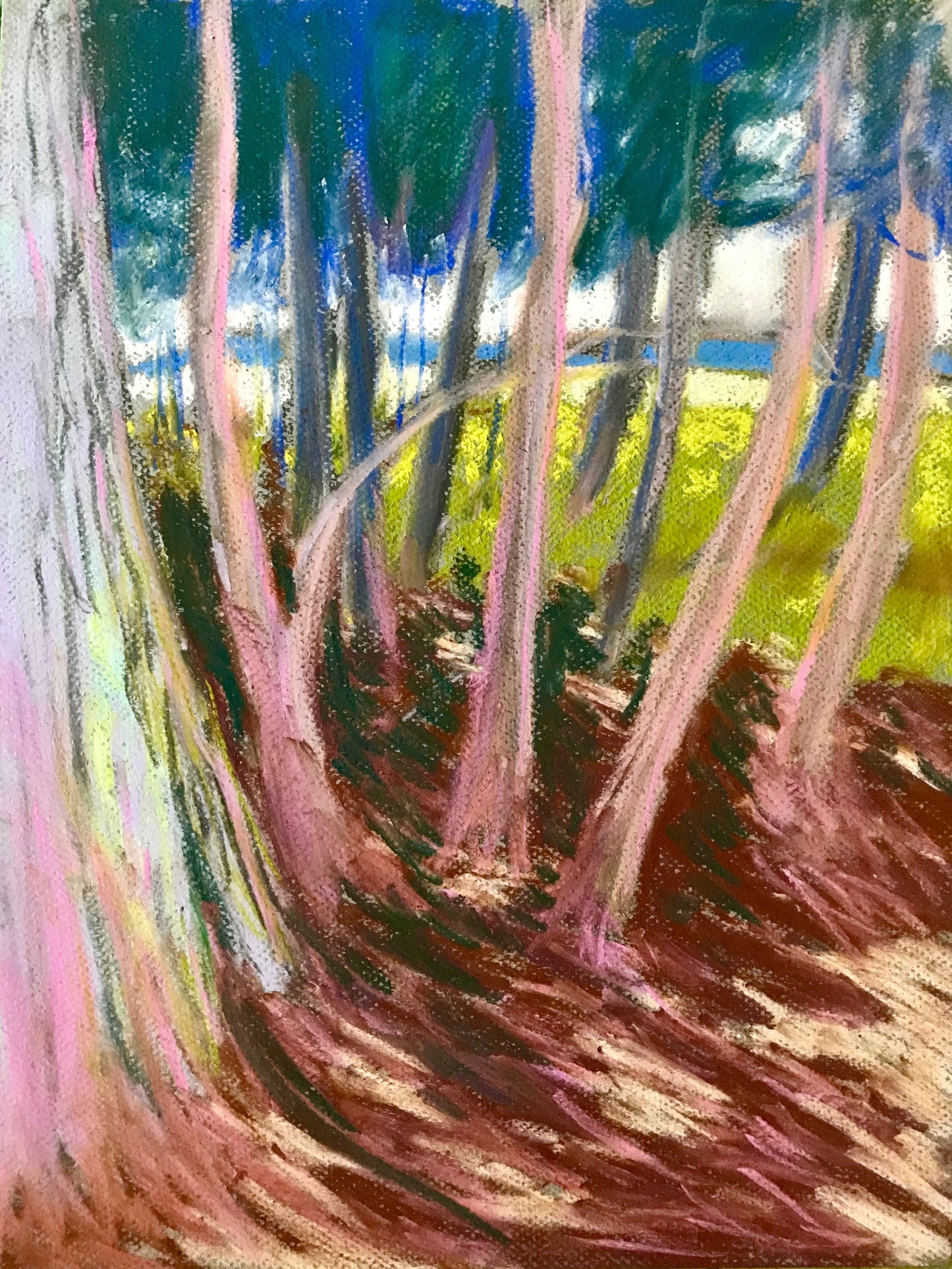 Alex Chowaniec, Rideau Lakes (Sunlit Woods II)